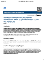 Electrical Foreman and Groundman Electrocuted When Guy Wire Contacts 13200Volt Power Line FACE 8917