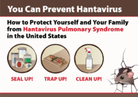 You Can Prevent Hantavirus How to Protect Yourself and Your Family from Hantavirus Pulmonary Syndrome in the United States
