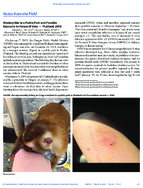 Notes From the Field Monkey Bite in a Public Park and Possible Exposure to Herpes B Virus  Thailand 2018