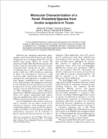 Molecular characterization of a novel Rickettsia species from Ixodes scapularis in Texas