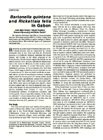 Bartonella quintana and Rickettsia felis in Gabon