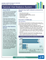 National Vital Statistics System April 2020