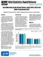 Fetal Mortality in the United States Final 20192020 and 2020Provisional 2021