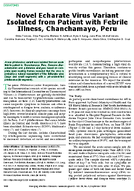 Novel Echarate Virus Variant Isolated from Patient with Febrile Illness Chanchamayo Peru