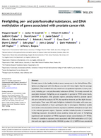 Firefighting per and Polyfluoroalkyl Substances and DNA Methylation of Genes Associated with Prostate Cancer Risk
