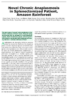 Novel Chronic Anaplasmosis in Splenectomized Patient Amazon Rainforest