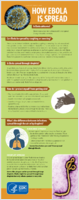 How Ebola Is Spread 201502