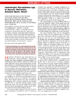 Hemotropic Mycoplasma spp in Aquatic Mammals Amazon Basin Brazil
