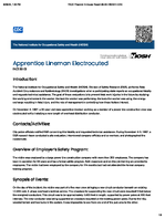 Apprentice Lineman Electrocuted FACE 8803 FACE 8803