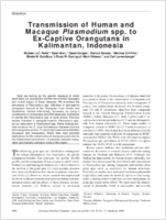 Transmission of Human and Macaque Plasmodium spp to ExCaptive Orangutans in Kalimantan Indonesia