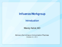 Influenza Workgroup  introduction