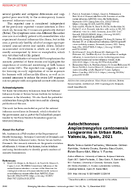 Autochthonous Angiostrongylus cantonensis Lungworms in Urban Rats Valencia Spain 2021