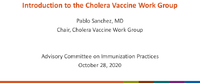Introduction to the Cholera Vaccine Work Group