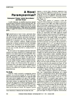 A Novel Paramyxovirus