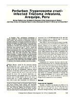 Periurban Trypanosoma cruziinfected Triatoma infestans Arequipa Peru