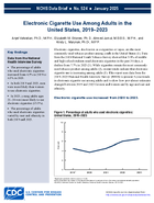 Electronic Cigarette Use Among Adults in the United States 20192023