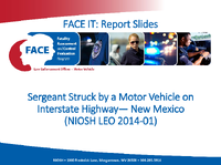 FACE IT Report Slides Sergeant Struck by a Motor Vehicle on Interstate Highway  New Mexico