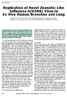 Replication of Novel ZoonoticLike Influenza AH3N8 Virus in Ex Vivo Human Bronchus and Lung