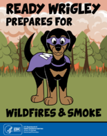 Ready Wrigley Prepares for Wildfires  Smoke