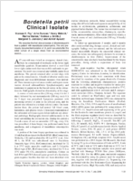 Bordetella petrii Clinical Isolate