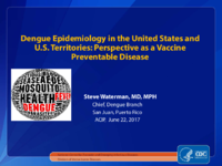 Dengue epidemiology in the United States and US territories  perspective as a vaccine preventable disease