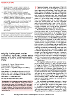 Highly Pathogenic Avian Influenza AH5N1 from Wild Birds Poultry and Mammals Peru