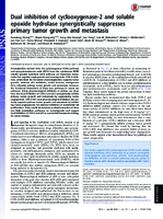Dual inhibition of cyclooxygenase2 and soluble epoxide hydrolase synergistically suppresses primary tumor growth and metastasis