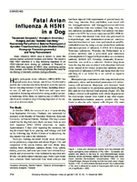 Fatal Avian Influenza A H5N1 in a Dog
