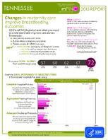 CDC National Survey Maternity Practices in Infant Nutrition and Care mPINC Tennessee 2015 Report