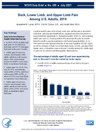 Back Lower Limb and Upper Limb Pain Among US Adults 2019