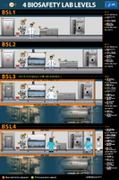 4 Biosafety Lab Levels Infographic