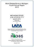 WorkRelated Burns in Michigan Fourth Annual Report January 2013  December 2013