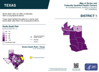 TX Congressional District 01 Stroke and Federally Qualified Health Centers Map 119th Congress