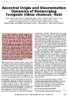 Ancestral Origin and Dissemination Dynamics of Reemerging Toxigenic Vibrio cholerae Haiti
