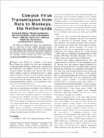 Cowpox Virus Transmission from Rats to Monkeys the Netherlands