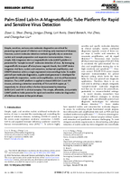 PalmSized LabinaMagnetofluidic Tube Platform for Rapid and Sensitive Virus Detection