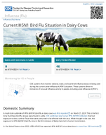 Current H5N1 Bird Flu Situation in Dairy Cows