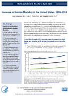 Increase in suicide mortality in the United States 19992018
