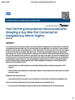 Tree Trimming Groundsman Electrocuted after Grasping a Guy Wire that Contacted an Energized Guy Wire in Virginia FACE 9034