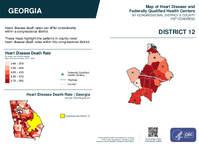 GA Congressional District 12 Heart Disease and Federally Qualified Health Centers Map 119th Congress