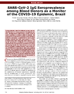 SARSCoV2 IgG Seroprevalence among Blood Donors as a Monitor of the COVID19 Epidemic Brazil