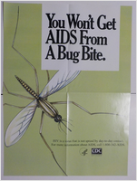 You wont to get AIDS from a bug bite