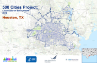 500 Cities Project Local Data for Better Health 2016 Houston TX