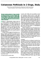 Cutaneous Pythiosis in 2 Dogs Italy