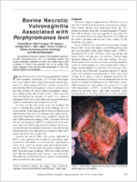 Bovine Necrotic Vulvovaginitis Associated with Porphyromonas levii
