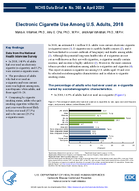 Electronic cigarette use among US adults 2018