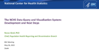 The NCHS data query and visualization system development and next steps