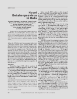 Novel Betaherpesvirus in Bats