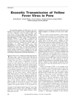 Enzootic Transmission of Yellow Fever Virus in Peru