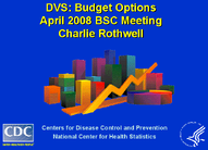 DVS Budget Options  April 2008 BSC Meeting